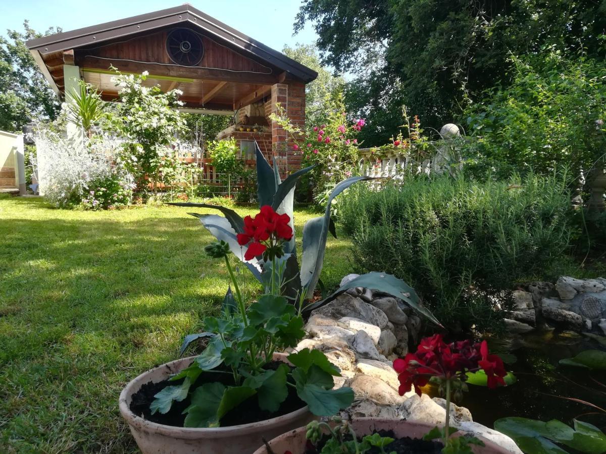 Apartment Cajt Umag Exteriör bild